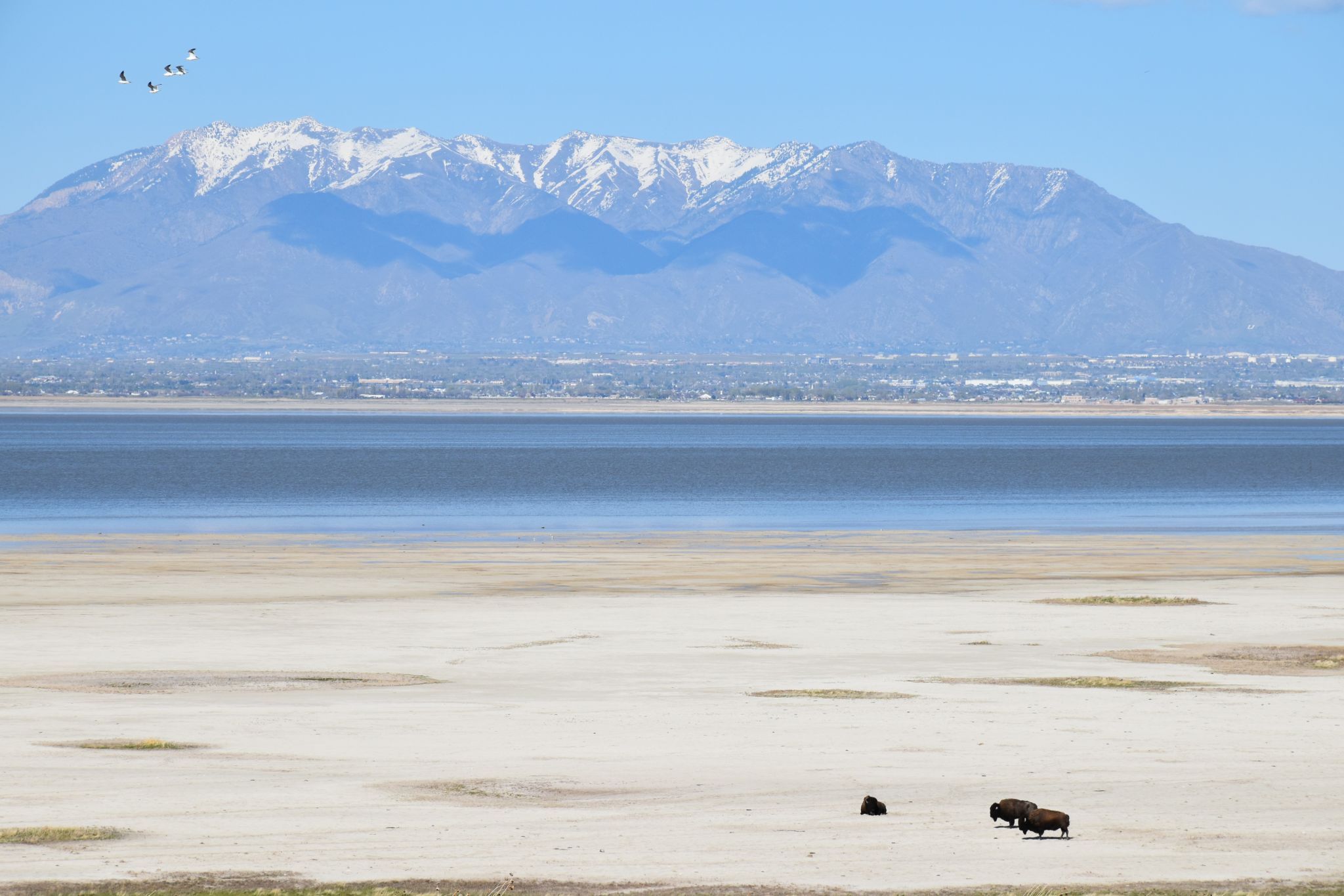 Antelope Island State Park, USA