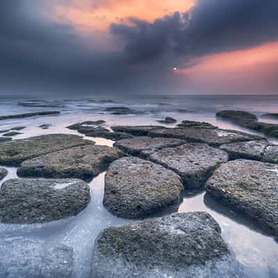 Anyer Coral, Indonesia