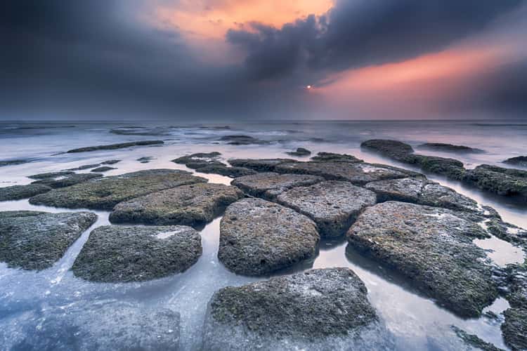 Anyer Coral