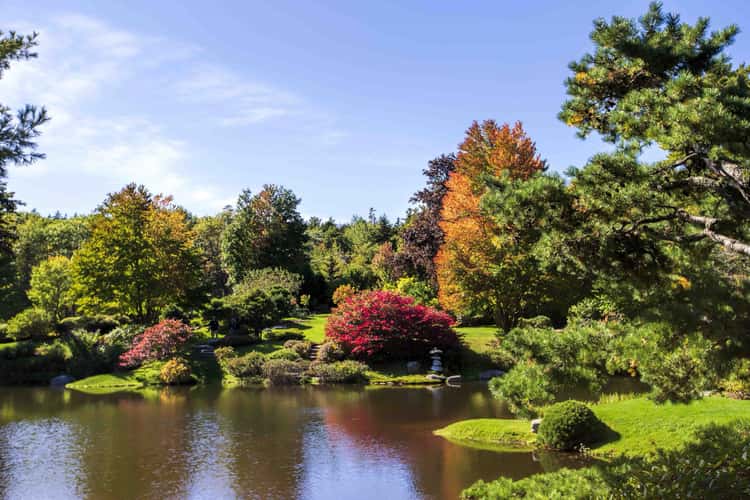 Asticou Azalea Gardens