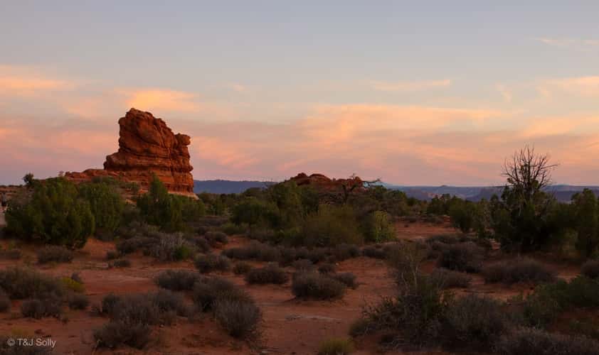 Astrophotography & Landscape Photography