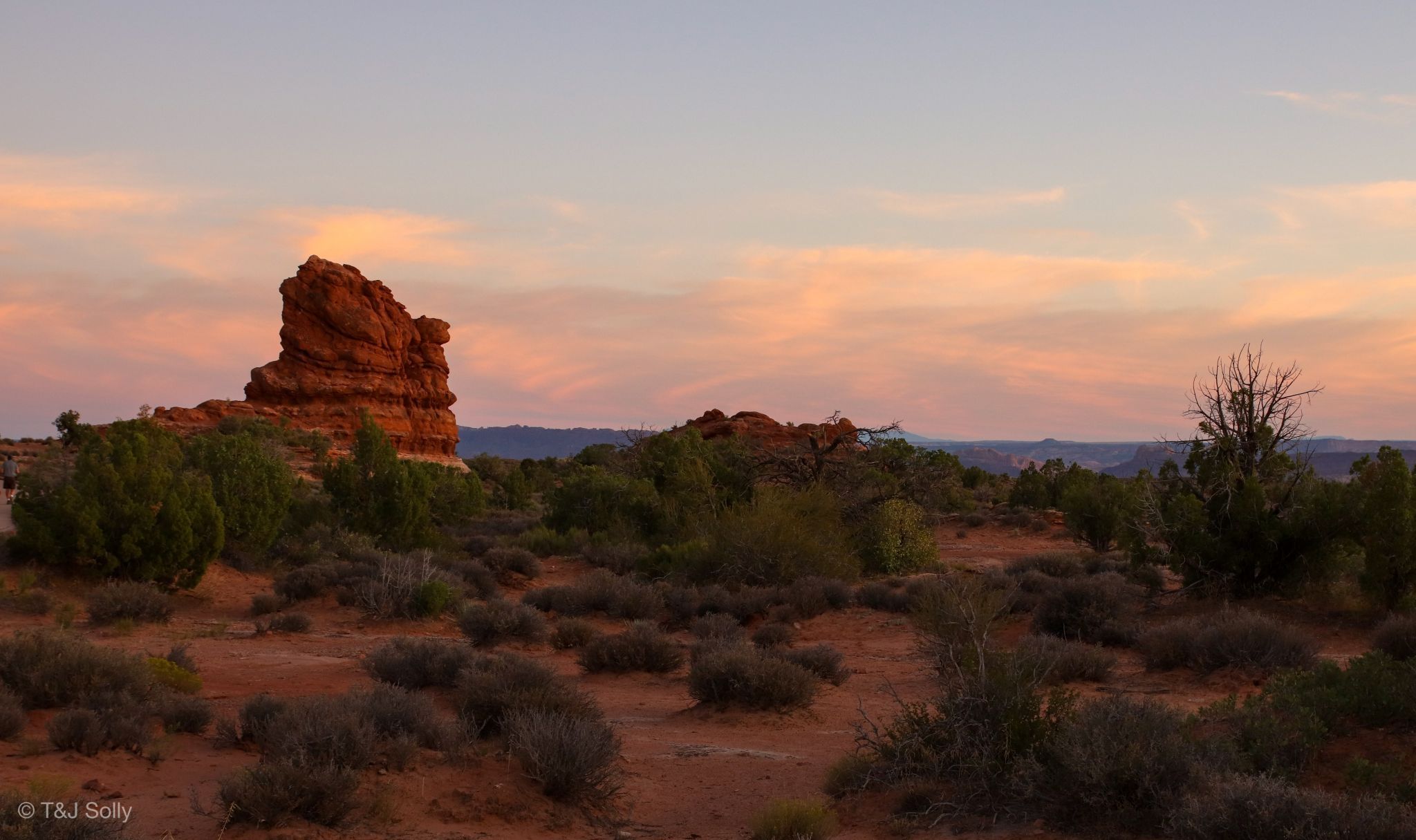Astrophotography & Landscape Photography, USA