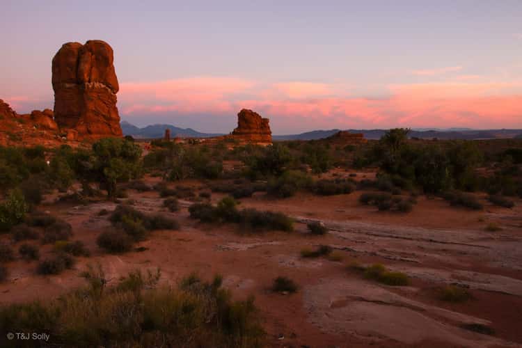 Astrophotography & Landscape Photography