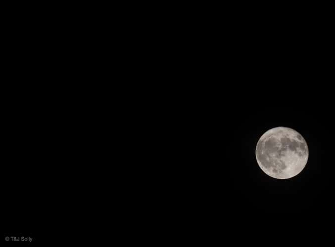 Astrophotography & Landscape Photography