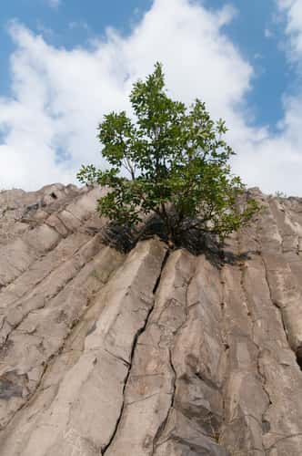 Basalt Volcano Cone at Lake Balaton