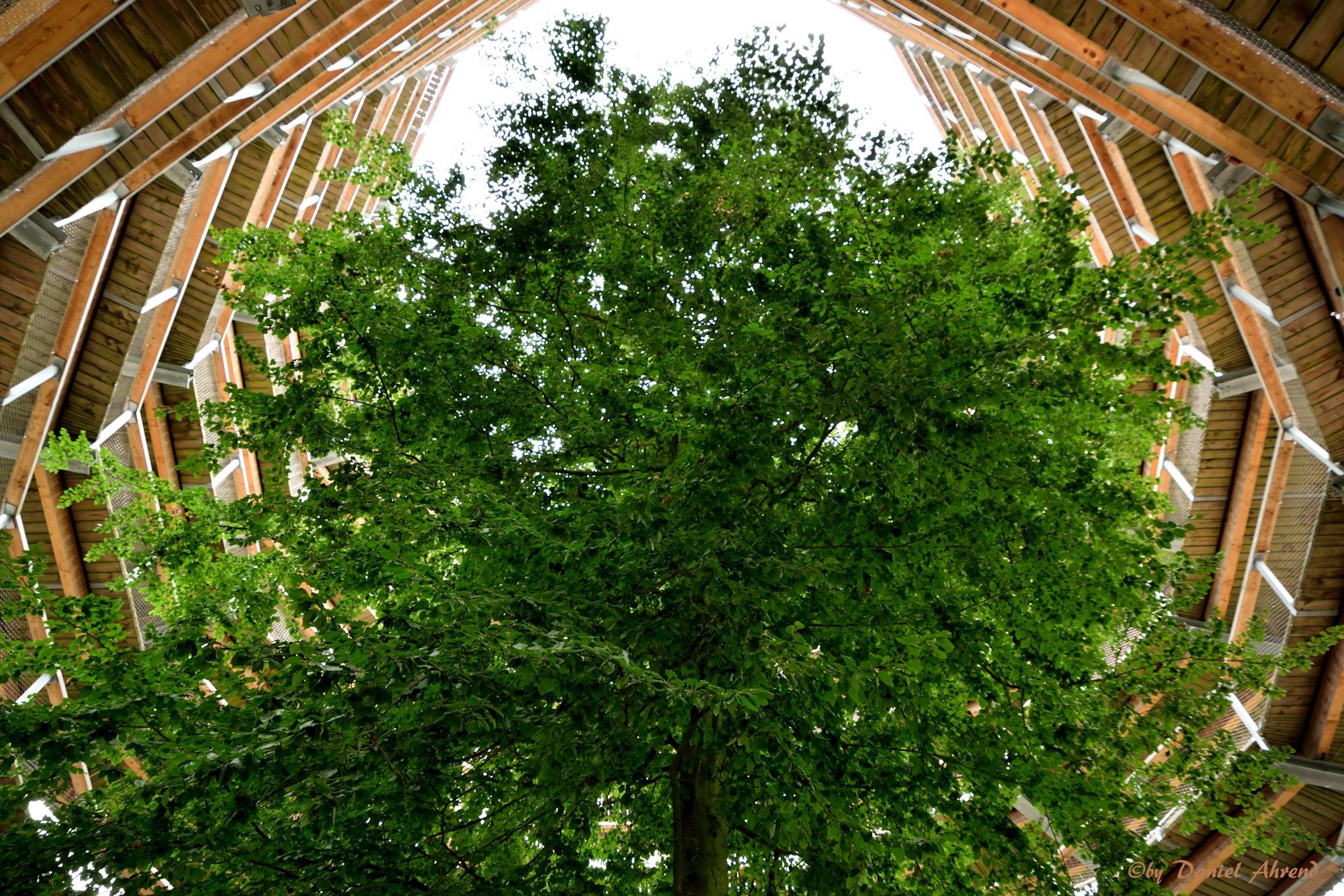 Baumwipfelpfad at the Rügen Natural Heritage Centre, Germany