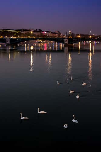 Berges du Rhône, Lyon