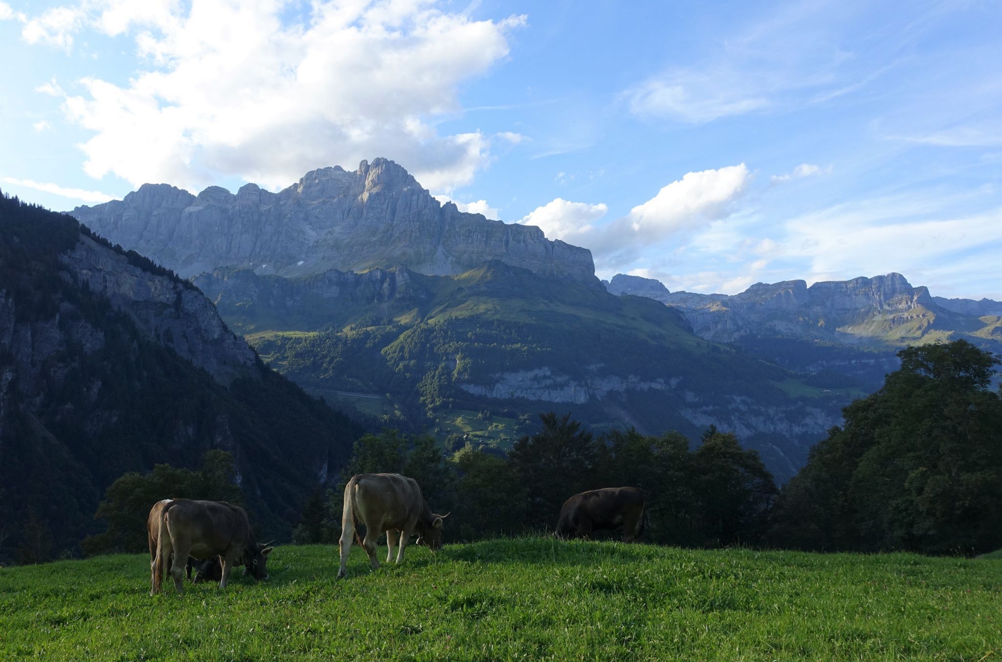 Berggasthaus Obbort, Switzerland