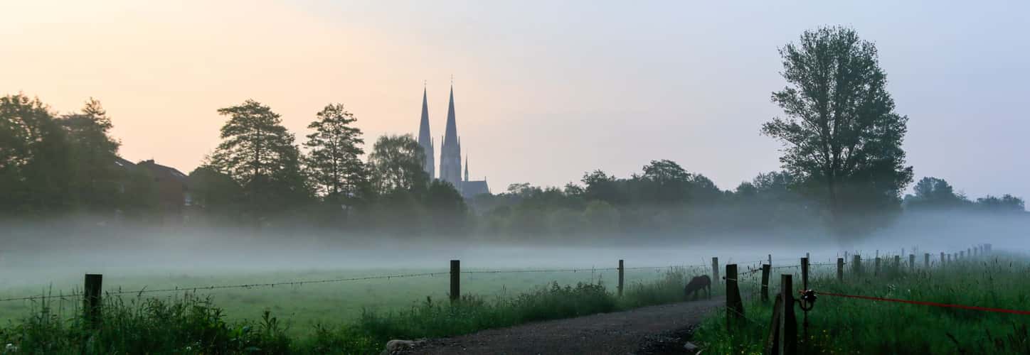 Billerbeck am Morgen
