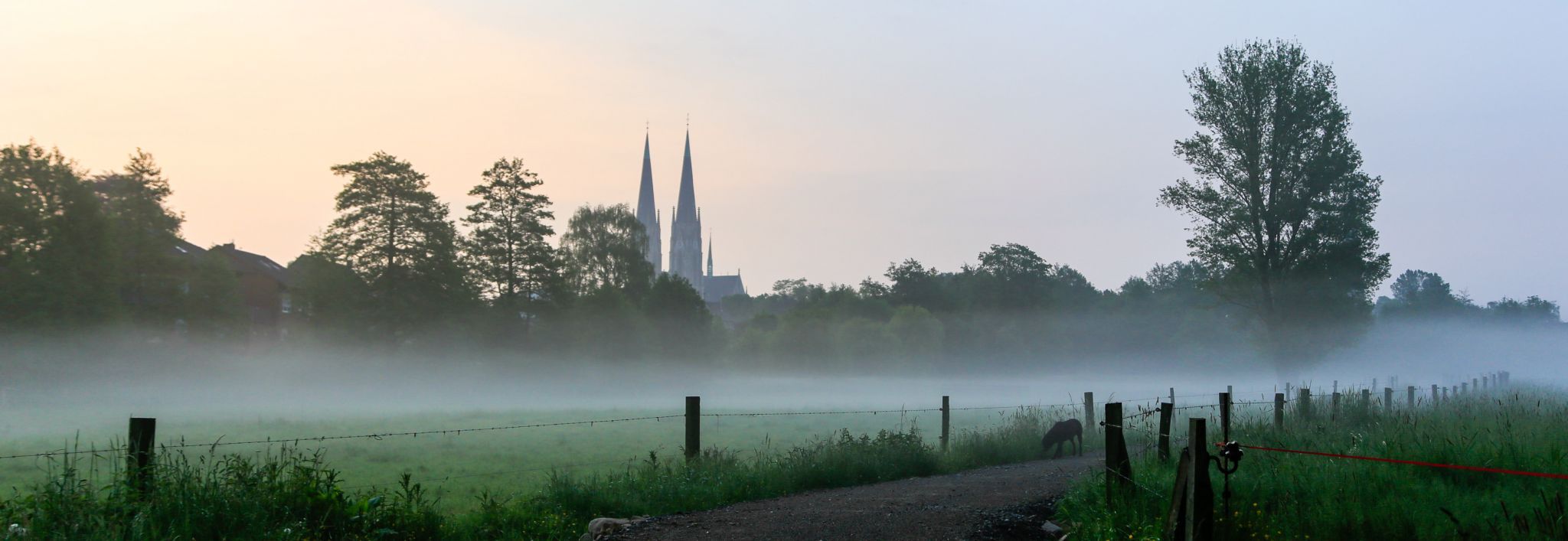 Billerbeck am Morgen, Germany