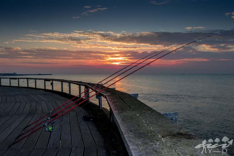 Blankenberge Beach