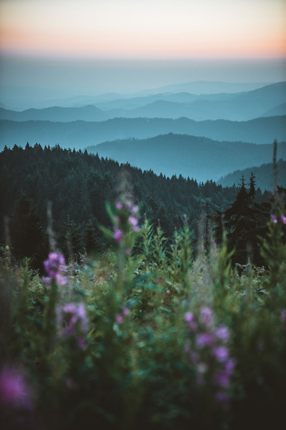 Hochblauen, Germany