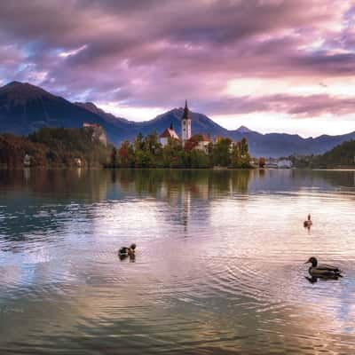 Bled Lake, Slovenia