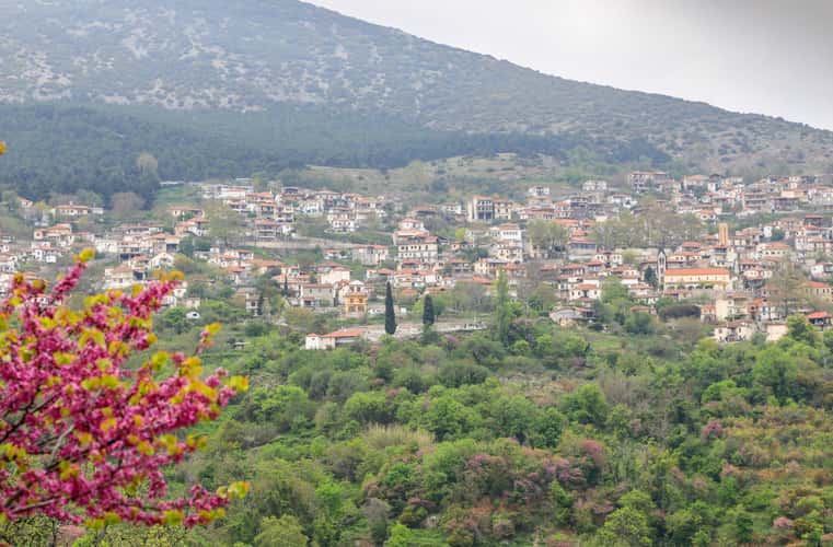 Blick auf Rapsani