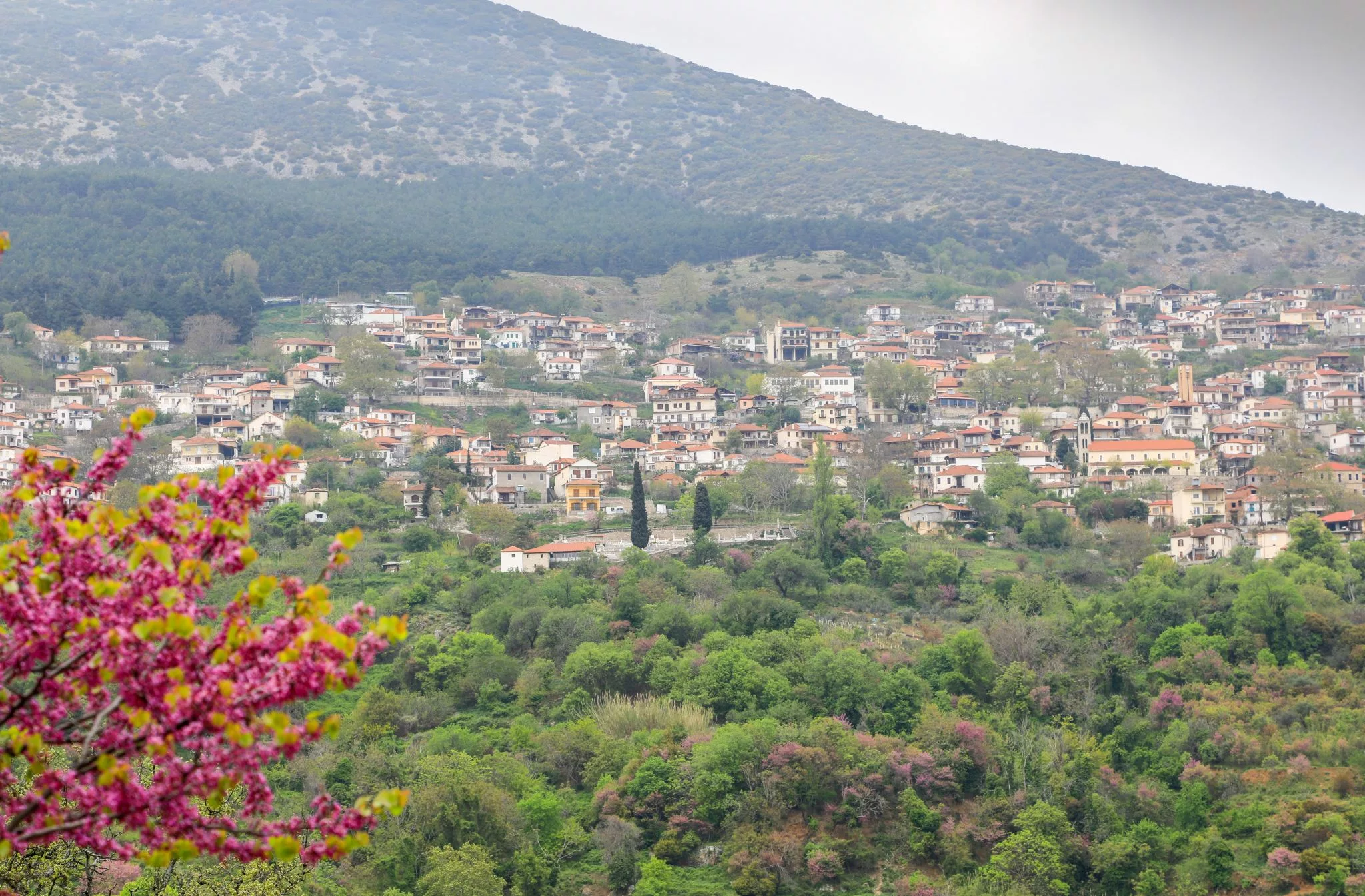 Blick auf Rapsani, Greece