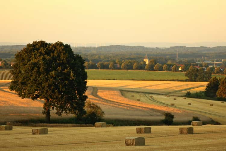 Blick von den Baumbergen auf Havixbeck