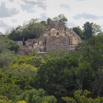 Calakmul, estructura II from estructura I, Mexico