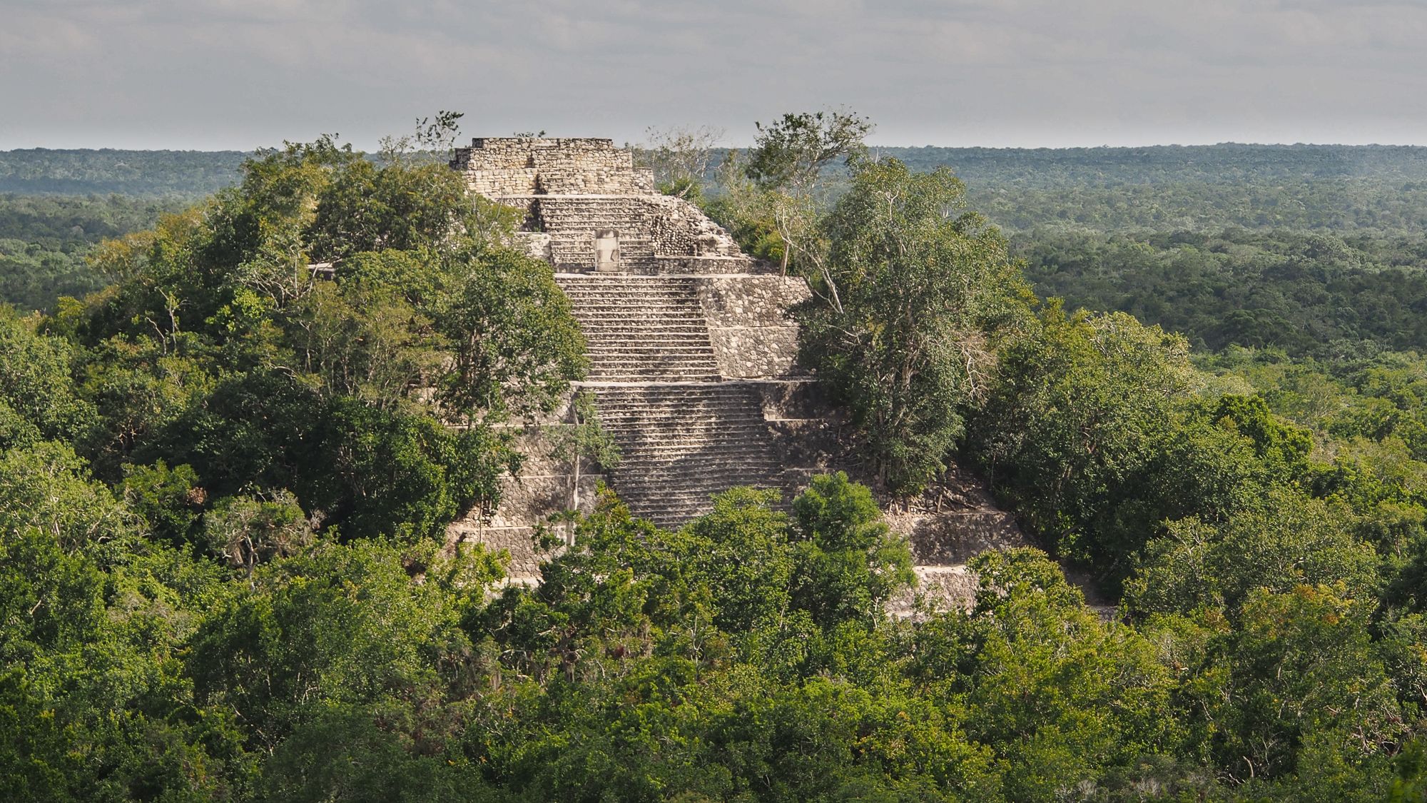 Calakmul , from E II to E I, Mexico