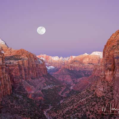 Canyon Overlook, Zion National Park, USA