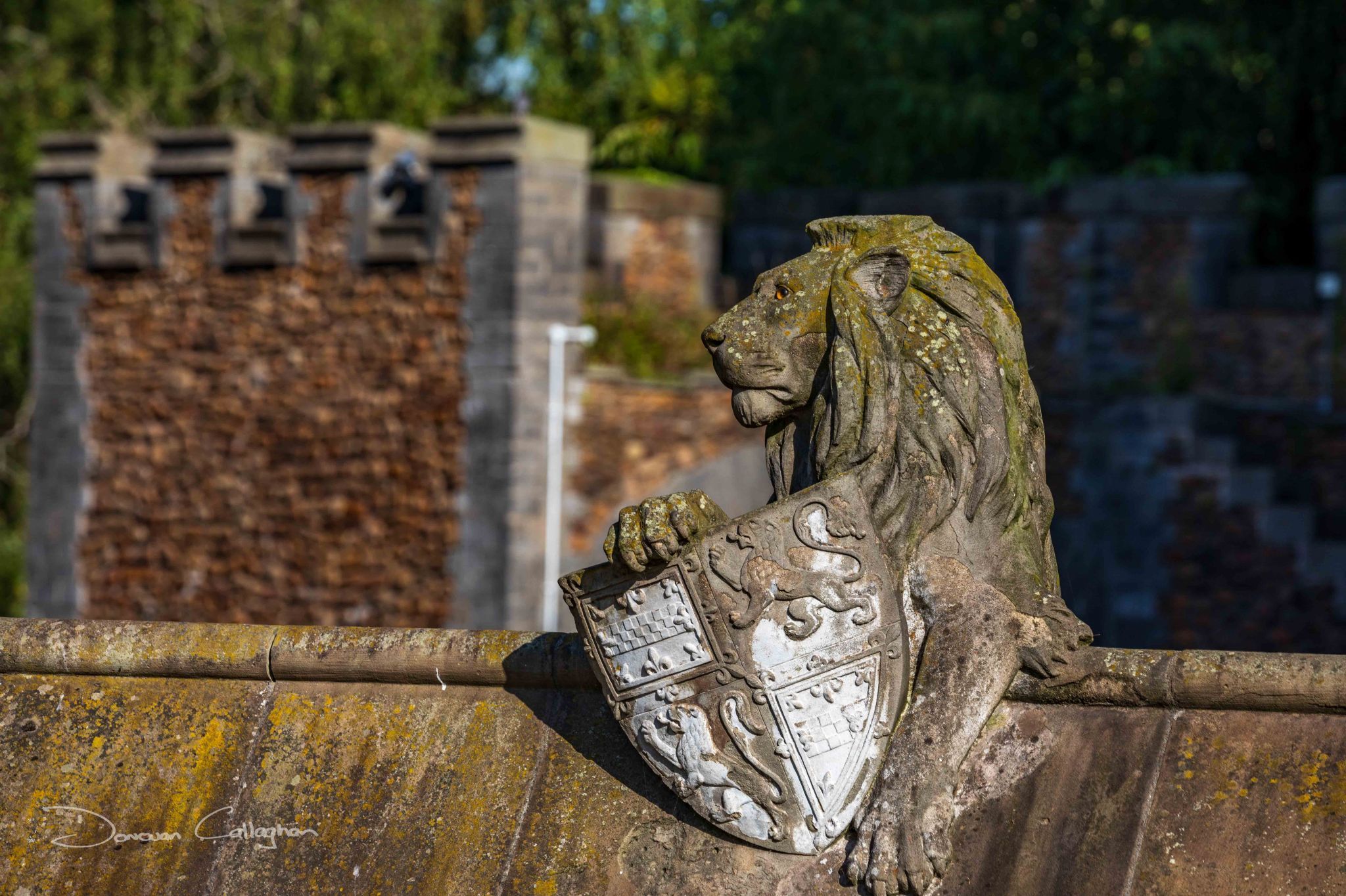 Cardiff Castle Lion on roof, Wales, United Kingdom