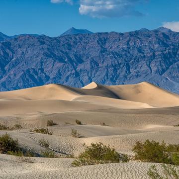 Death Valley dunes, USA