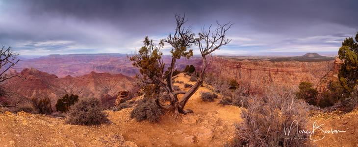 Desert View , Grand Canyon