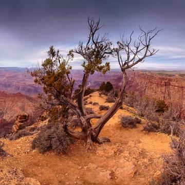 Desert View , Grand Canyon, USA