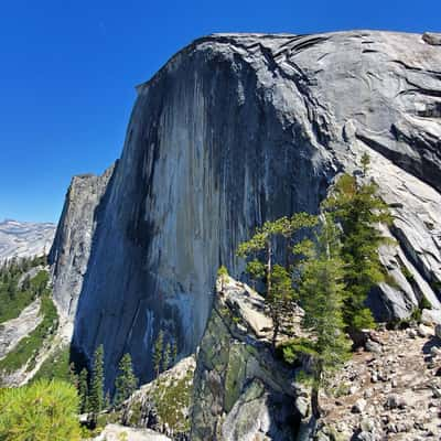 Diving Board Yosemite National Park, USA