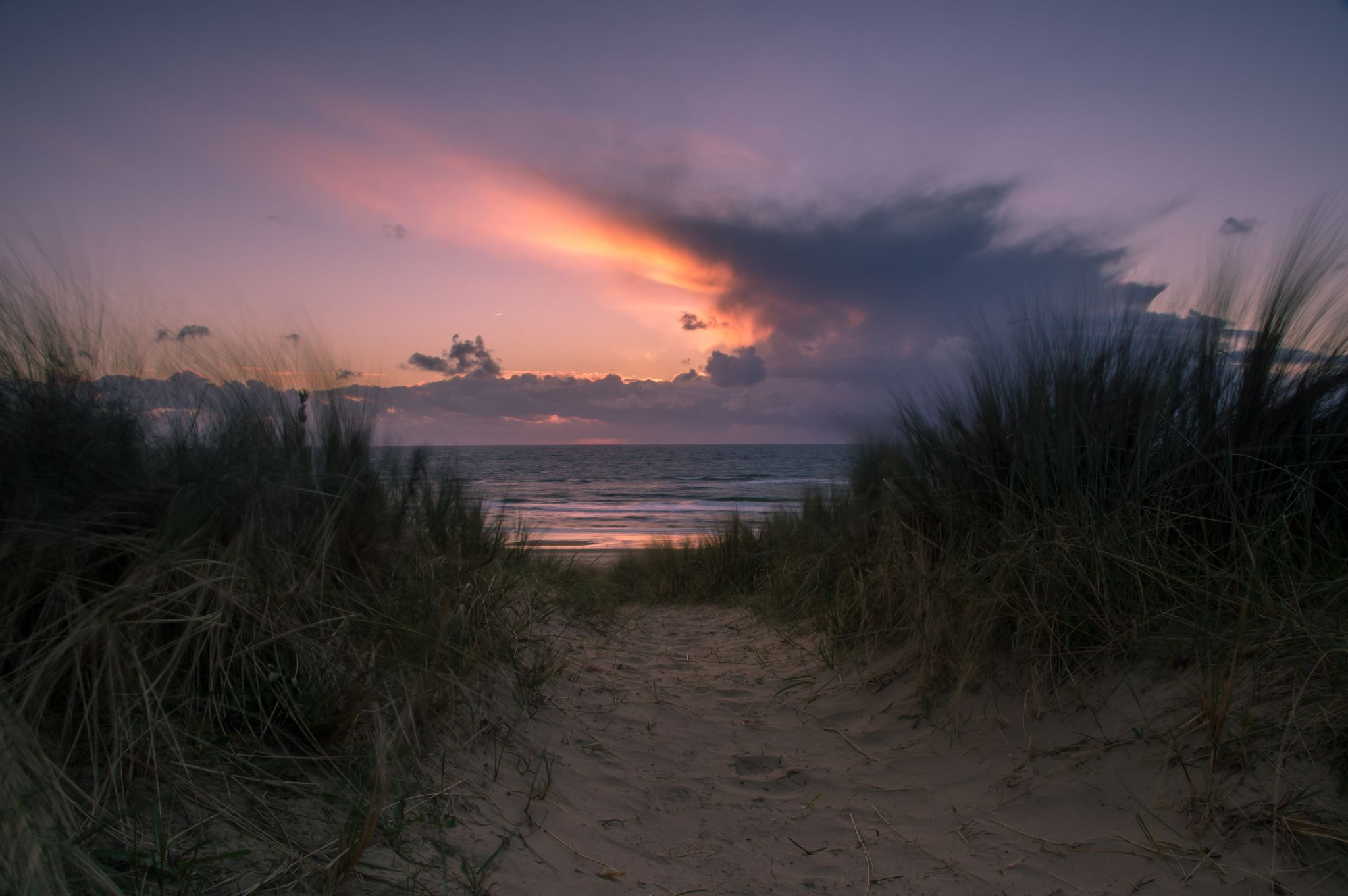 Dunes, Egmond aan Zee, Netherlands