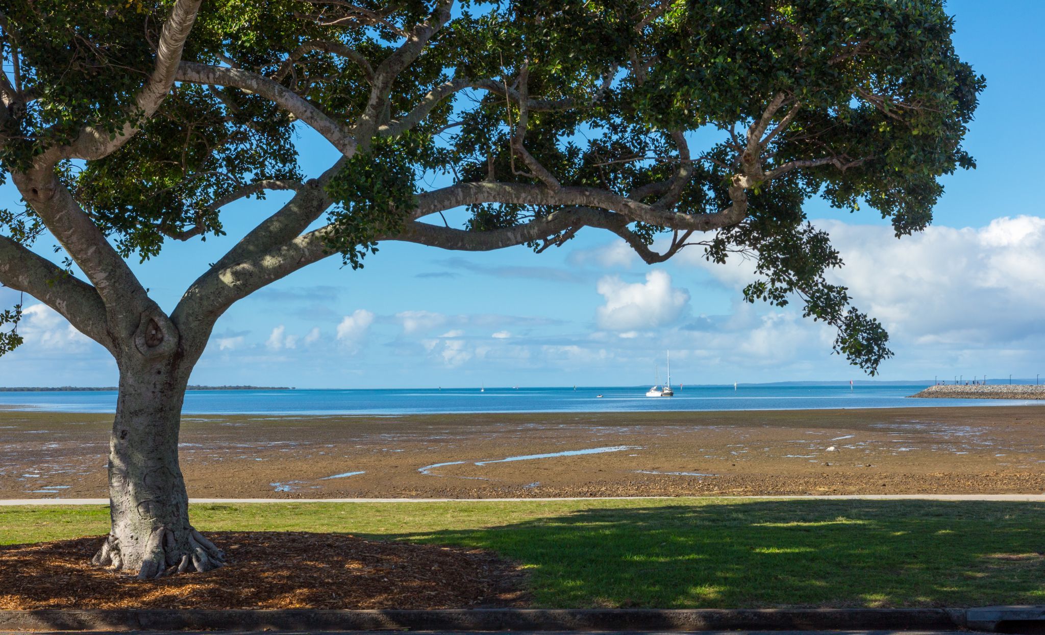 Eastwood Beach, Manly, Brisbane, Australia