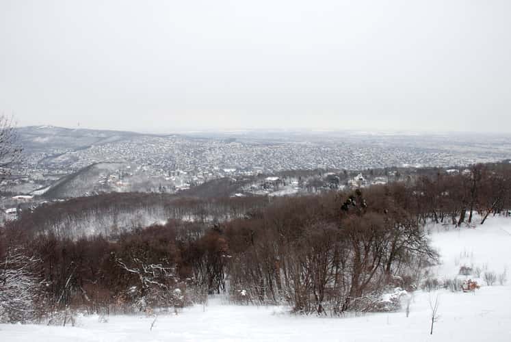 Elizabeth Lookout
