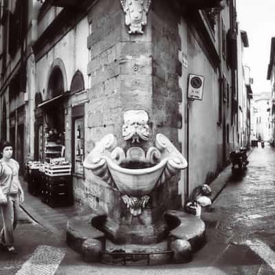 Firenze - Fontana della Sprone, Italy