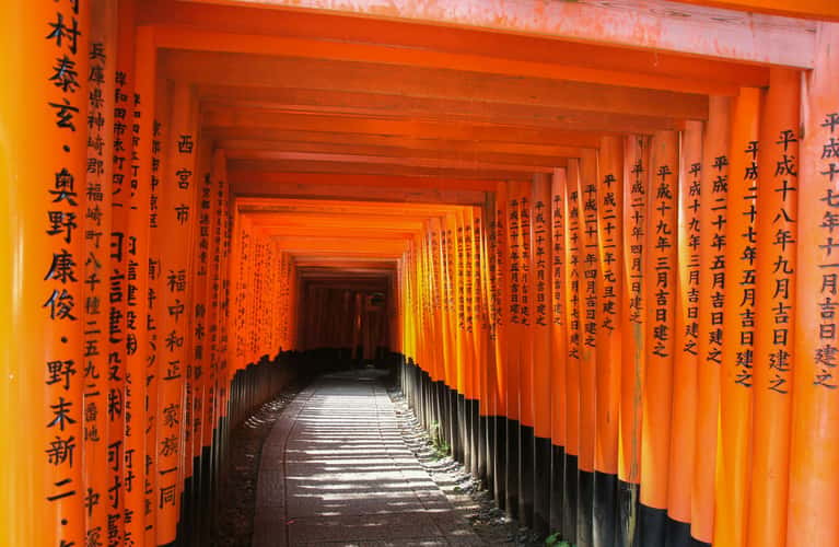 Fushimi Inari Shrine Kyoto
