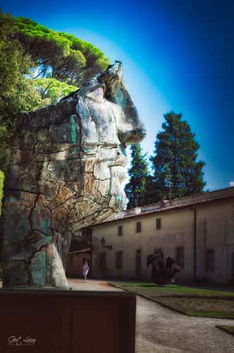 Giardino Di Boboli - The Face