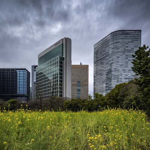 Hamarikyū-Park