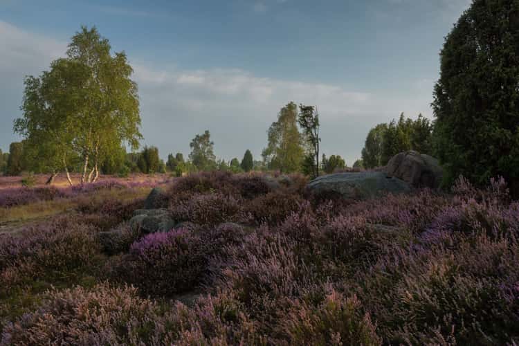 Hannibal‘s grave, Lüneburg Heath