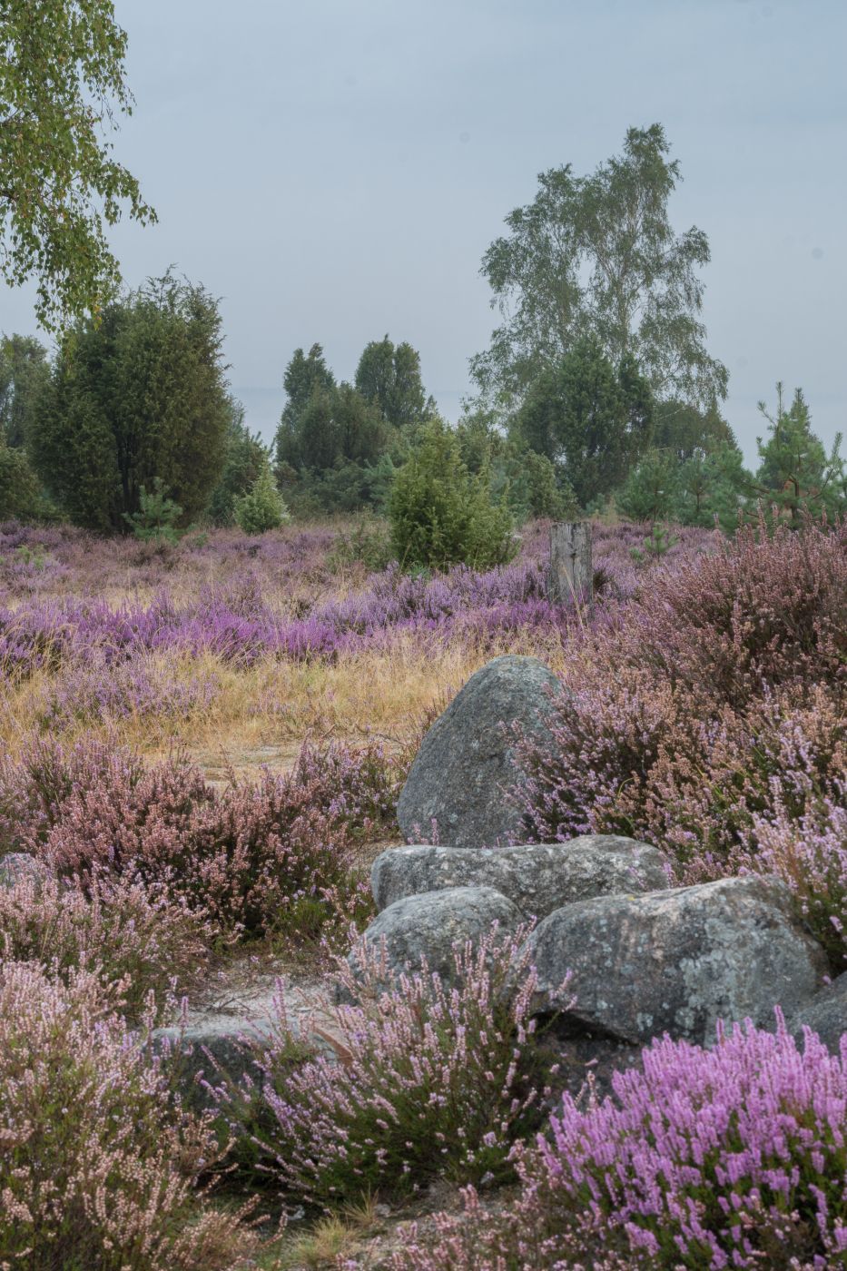Hannibal‘s grave, Lüneburg Heath, Germany