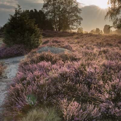 Hannibal‘s grave, Lüneburg Heath, Germany