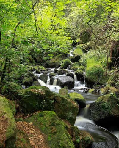 Hidden waterfall trail