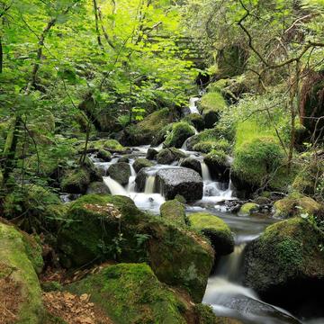 Hidden waterfall trail, United Kingdom