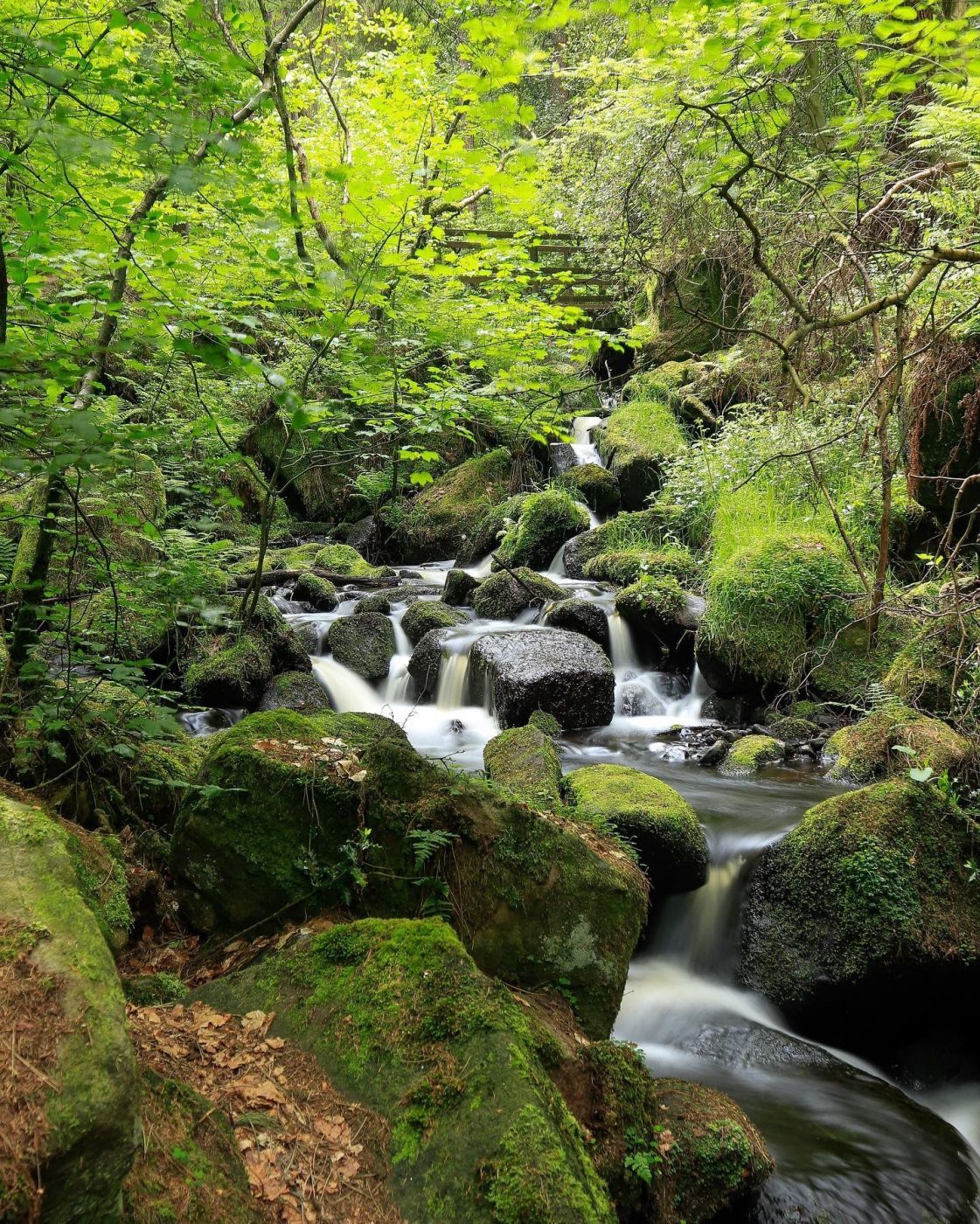 Hidden waterfall trail, United Kingdom
