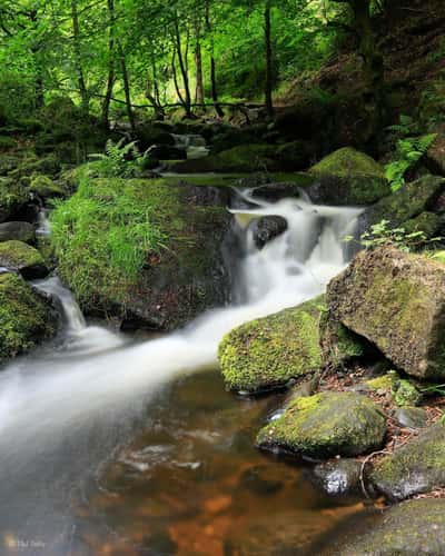 Hidden waterfall trail