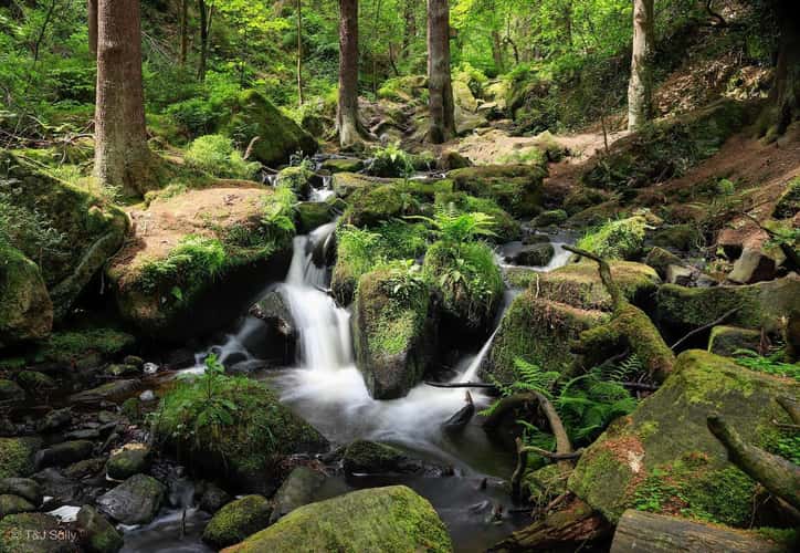Hidden waterfall trail