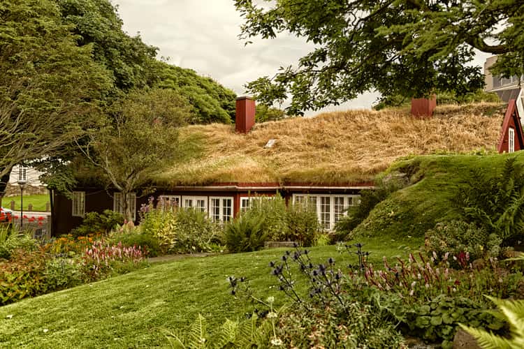 House with roof of grass