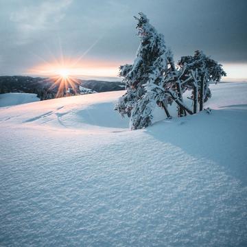 Belchen/Ice cold Sunrise, Black Forest, Germany