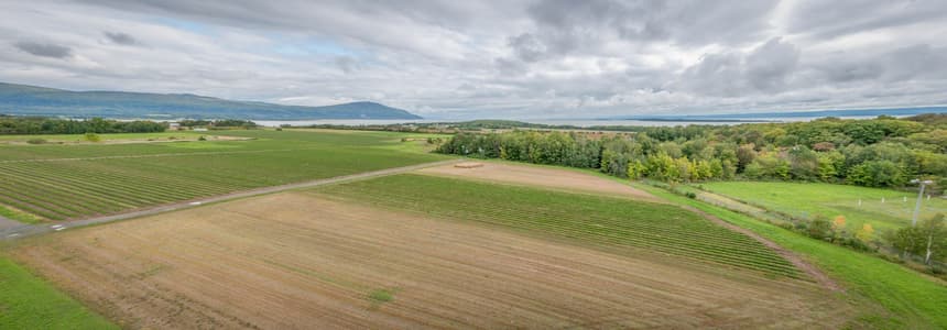 Ile d'Orleans Observation Tower