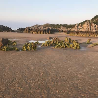 Isla estuary, Spain