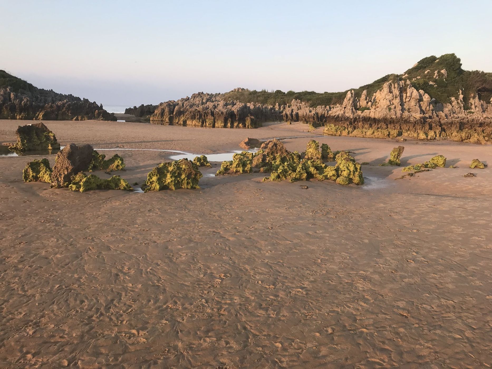 Isla estuary, Spain