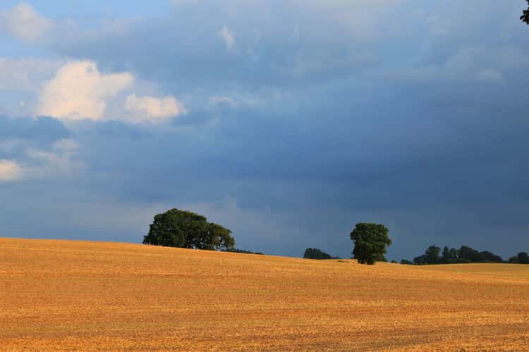 Landschaft in Schwansen
