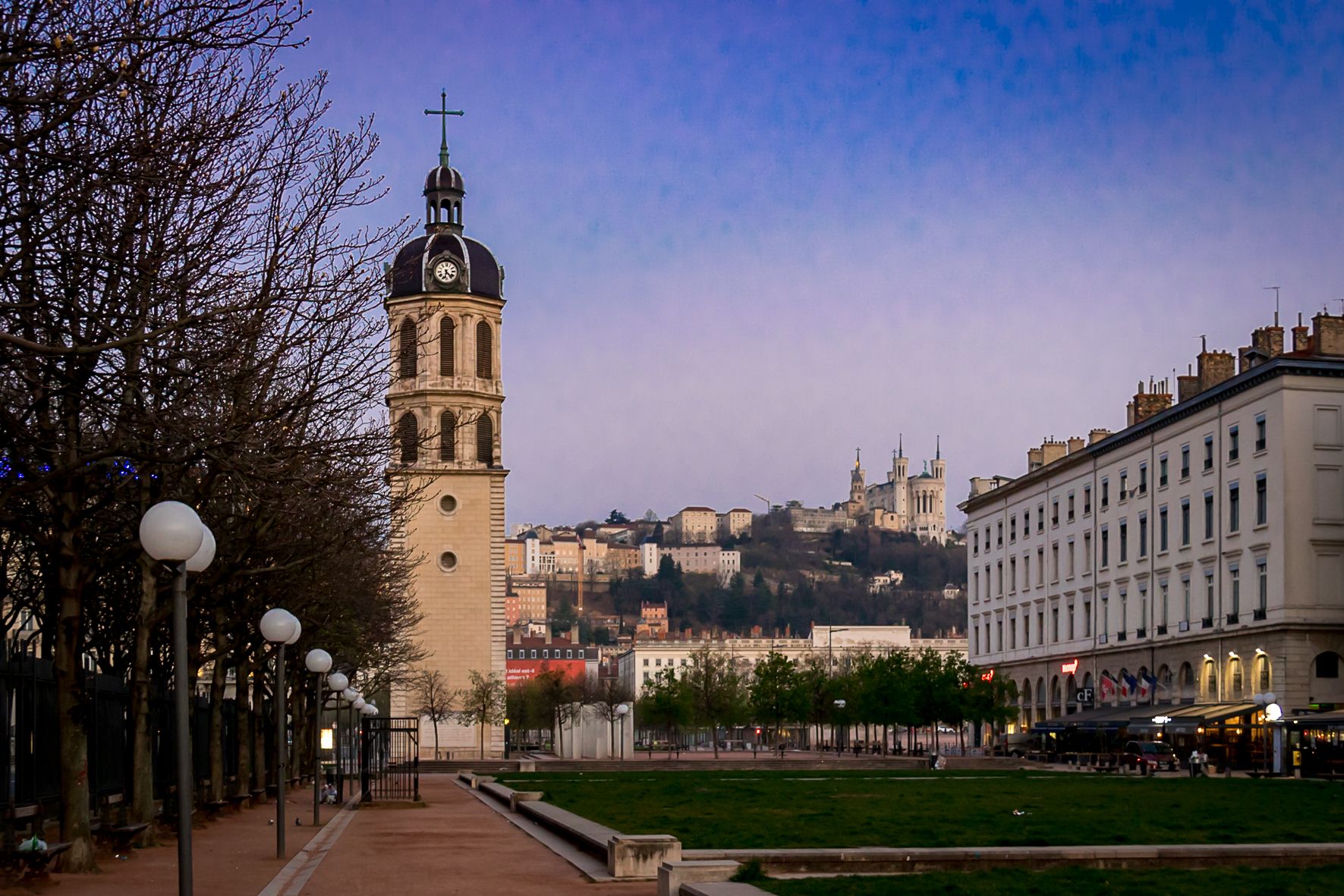 L'arbre à fleur, lyon, France